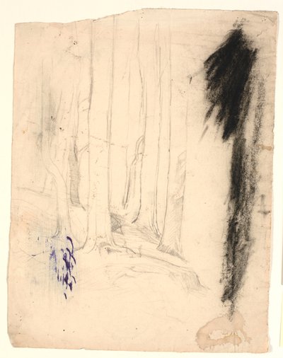 Troncos de árboles de Poul S. Christiansen