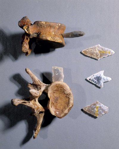 Sílex con hueso prehistórico, Museo de Antigüedades Nacionales de Prehistoric Prehistoric