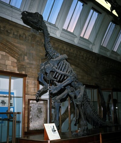 Iguanodon de Prehistoric Prehistoric