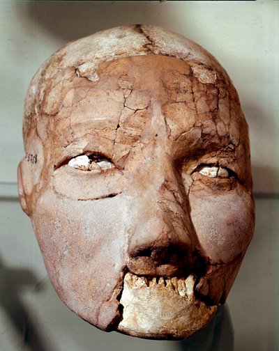 Arte neolítico: cráneo humano que data de la Edad de Piedra (6000-4000 a.C.). De Jericó, Museo Arqueológico, Amán, Jordania de Prehistoric Prehistoric