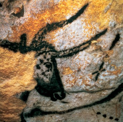 Pintura parietal que representa un uro (bóvido extinto), Sala de los Toros, cueva de Lascaux, Montignac, Dordoña, Francia, período Magdaleniense Paleolítico de Prehistoric Prehistoric