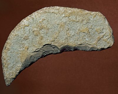 Prehistoria: herramienta tipo chopper de fabricación lítica de Kjokkenmoddinger, Dinamarca. Paleolítico. Verona, Museo Civico di Storia Naturale, Italia de Prehistoric Prehistoric