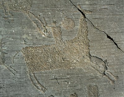 Prehistoria, civilización Camunni, arte rupestre: roca funeraria que representa a un guerrero a caballo con un escudo. Período entre el Neolítico y la Edad de Bronce. Capo di Ponte, Parque nacional de las inscripciones rupestres de Naquane, Valcamonica, It de Prehistoric Prehistoric