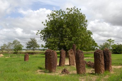 Prehistoria: círculo megalítico de piedras de Wassu, Gambia (foto) de Prehistoric Prehistoric