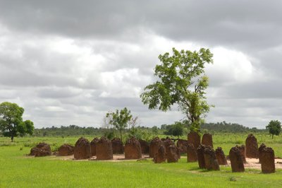 Prehistoria: Círculo megalítico de piedras de Wassu, Gambia (foto) de Prehistoric Prehistoric