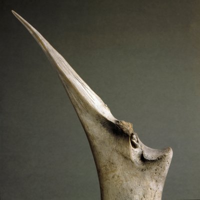 Prehistoria, cultura de Polada: punta de hueso de la turbera de Polada, Lonato. Edad del Bronce. Roma, Museo Nazionale Preistorico Etnografico Luigi Pigorini de Prehistoric Prehistoric