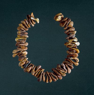Prehistoria, Edad de Piedra: collar de huesos de la cueva de Polesine, Véneto. Roma, Museo Nacional Prehistórico Etnográfico Luigi Pigorini de Prehistoric Prehistoric