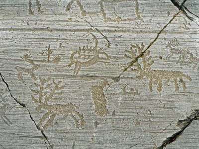 Prehistoria, civilización de los Camunni, arte rupestre: roca funeraria de la representación de ciervos. Período entre el Neolítico y la Edad de Bronce. Roca. 1. Capo di Ponte, Parque nacional de las inscripciones rupestres de Naquane, Valcamonica, Italia de Prehistoric Prehistoric