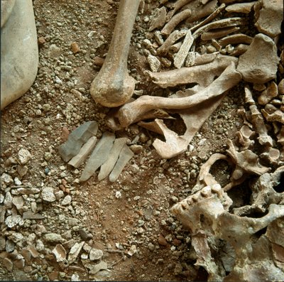 Prehistoria: doble sepultura de adultos y niños. (detalle) de Prehistoric Prehistoric