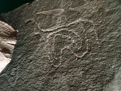 Prehistoria, arte rupestre: una roca con la representación de un ganado. Estilo Tazina. Edad de Piedra 5000-2000 a.C. Taghit, Alto Plateau del Hoggar (Ahaggar), Argelia de Prehistoric Prehistoric