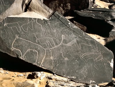 Prehistoria, arte rupestre: roca funeraria que representa leones, antílopes, avestruces y ganado. Edad de Piedra 5000-2000 a.C. de Prehistoric Prehistoric