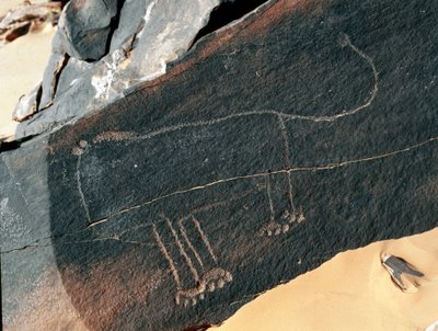 Prehistoria, arte rupestre: roca funeraria con representación de un león (estilo Tazina) de Prehistoric Prehistoric