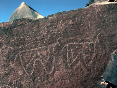 Prehistoria, arte rupestre: roca funeraria de la representación de ganado. Estilo Tazina. Edad de Piedra 5000-2000 a.C. Taghit, Alto plateau del Hoggar (Ahaggar), Argelia de Prehistoric Prehistoric