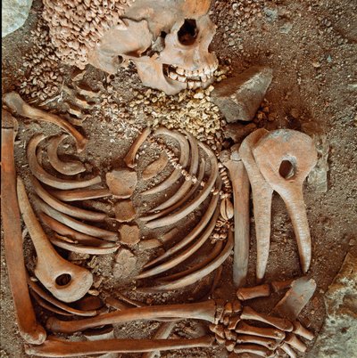 Prehistoria: esqueleto y ajuar funerario de adolescentes llamado del joven príncipe de la cueva de Arene Candide (Finale Ligure): collar de conchas, cuerno de ciervo y sílex. Edad de Piedra, Paleolítico Superior. Génova, Museo de Arqueología Ligure de Prehistoric Prehistoric