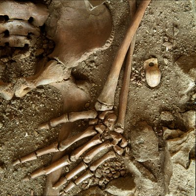 Prehistoria: sepultura de adolescente. Vista detallada del ajuar funerario de la cueva de Arene Candide (Finale Ligure), Liguria. Paleolítico Superior, 24000 a.C. Génova, museo di archeologia ligure de Prehistoric Prehistoric