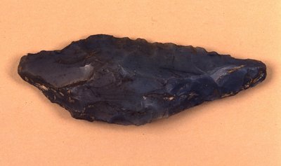 Punta de flecha de piedra descubierta en Isolino di Varese (Italia) de Prehistoric Prehistoric
