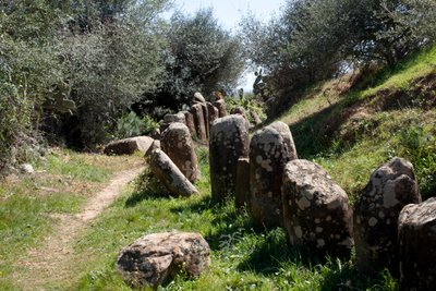 El sitio arqueológico de cromlech M Zora, en Sidi El Yamani (Marruecos). Túmulo funerario neolítico (2000 a.C.), rodeado por 167 monolitos de Prehistoric Prehistoric