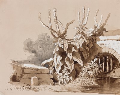 Estudio de plantas junto a una zanja, con adiciones de un instructor, 1856 de Prince Gaetano Maria Federico di Borbone