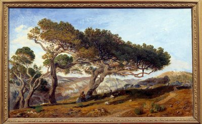 Pinos en la campiña de Aix en provence Paisaje del maquis en el sur de Francia. Pintura de Prosper Joseph Gresy (1804-1874) siglo XIX Aix en Provence, Museo Granet - Pinos en la campiña de Aix-en-Provence. Paisaje del maquis en de Prosper Joseph Gresy
