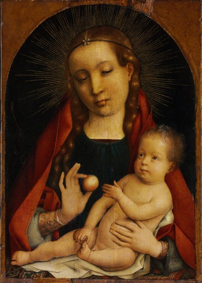 Madonna y Niño de Provost
