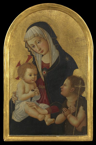 Virgen y Niño con un jilguero y el Infante San Juan, después de 1460 de Pseudo Pier Francesco Fiorentino
