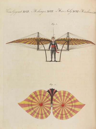 Libro de imágenes para niños Enciclopedia infantil de Friedrich Johann Justin Bertuch, 1798-1830 de Pupils of the Weimar Princely Free