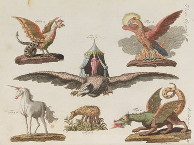 Libro de imágenes para niños Enciclopedia infantil de Friedrich Johann Justin Bertuch, 1798-1830 de Pupils of the Weimar Princely Free