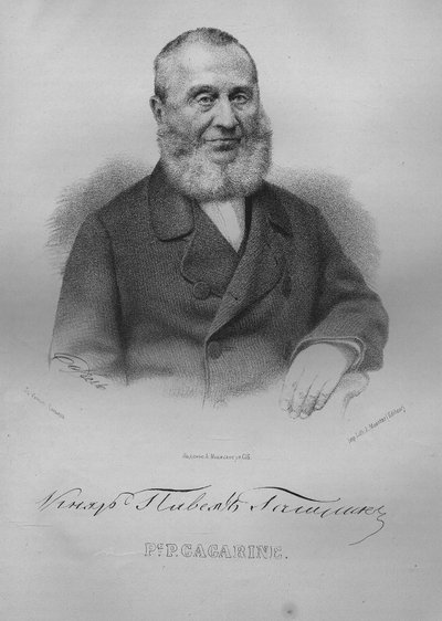 Retrato del Conde Pavel Pavlovich Gagarin 1789-1872, 1865 de Pyotr Fyodorovich Borel