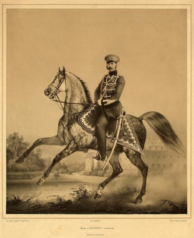 Retrato del Emperador Alejandro II 1818-1881, 1860s-1870s de Pyotr Fyodorovich Borel