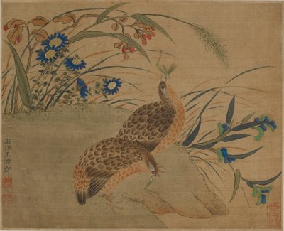 Dos codornices comiendo saltamontes bajo flores de Qing Dynasty Chinese School