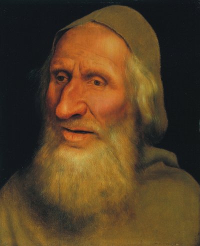 Cabeza de un anciano de Quentin Massys or Metsys
