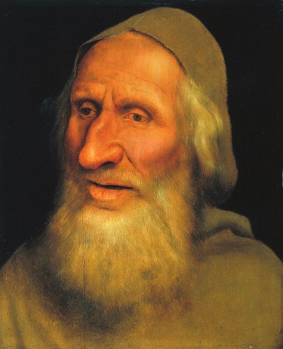 Cabeza de un Hombre Viejo, c.1525 de Quentin Massys or Metsys
