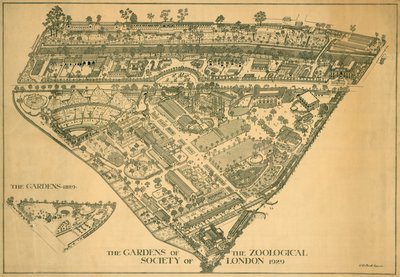 Zoo de Londres, Regents Park, Westminster, 1929 de RB Brook Greaves