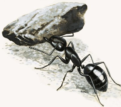 Pequeños monstruos: La hormiga poderosa de R.B. Davis