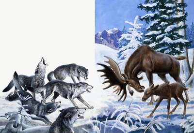 El reino de la naturaleza: Comieron hasta morir de hambre de R.B. Davis