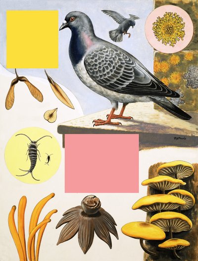 El campo en diciembre de R.B. Davis
