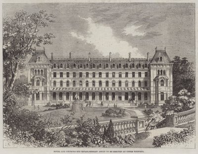 Hotel y establecimiento hidropático a punto de ser erigido en Upper Norwood de R. Dudley