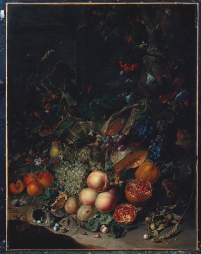 Duraznos, uvas, granadas, melones, una mazorca de maíz, albaricoques, ciruelas, peras, bellotas, 1718 de Rachel Ruysch