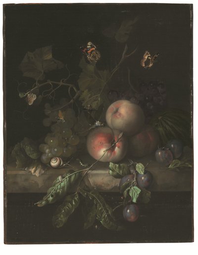 Melocotones, uvas y ciruelas con una libélula, un caracol, una oruga, polillas y otros insectos en una repisa de piedra de Rachel Ruysch
