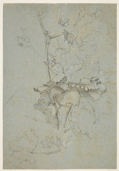 Estudio de plantas de Rachel Ruysch