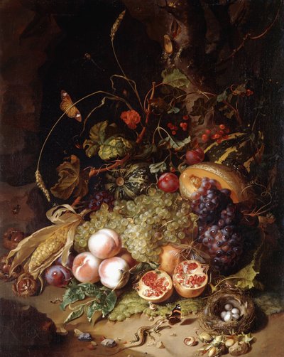 Naturaleza muerta con frutas e insectos de Rachel Ruysch