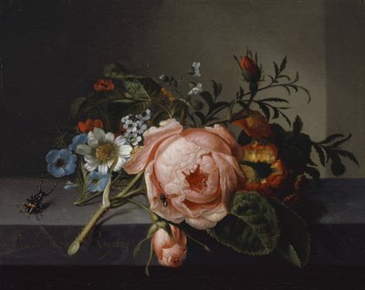 Naturaleza muerta con rama de rosa, escarabajo y abeja, 1741 de Rachel Ruysch