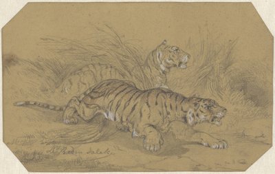 Dos tigres merodeando por la hierba de Raden Sarief Bastaman Saleh