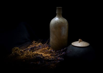 Naturaleza muerta botánica serena de Raffaele Corte
