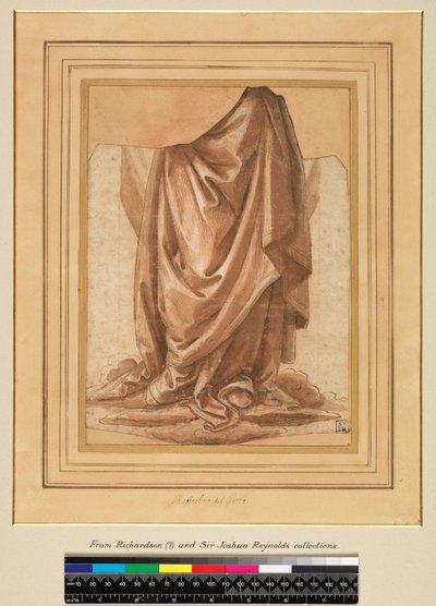 Estudio de drapeado, antes de 1524 de Raffaellino del Garbo