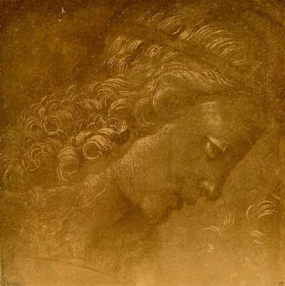 Estudio de una cabeza de ángel de Raffaellino del Garbo