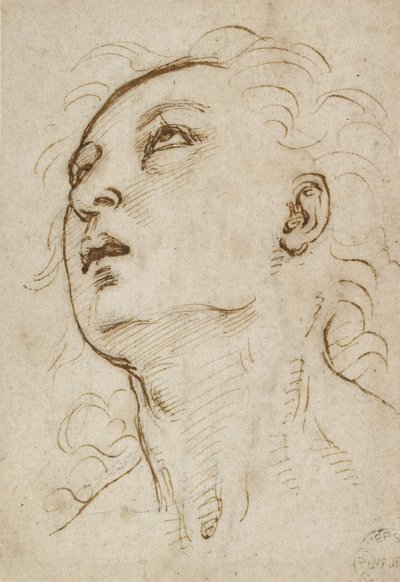 Cabeza de un joven mirando hacia arriba, c. 1497-1504 de Raffaello Sanzio Raphael