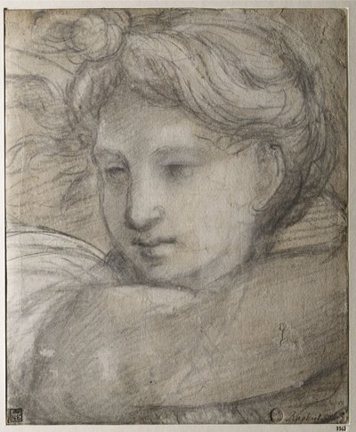 Cabeza de un Ángel, c. 1520 de Raffaello Sanzio Raphael