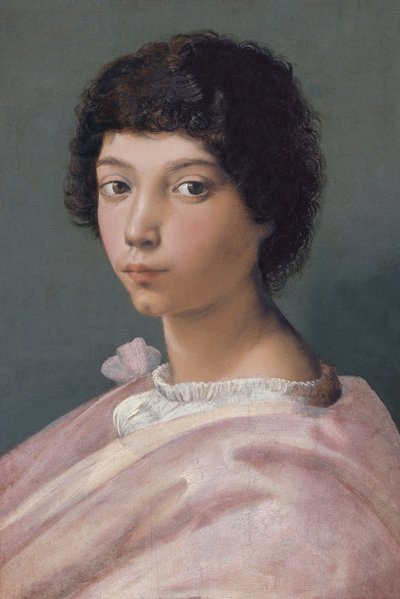 Retrato de un joven de Raffaello Sanzio Raphael