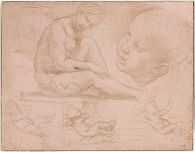 Estudios de una mujer sentada, cabeza de niño y tres estudios de un bebé, c. 1507-8 de Raffaello Sanzio Raphael